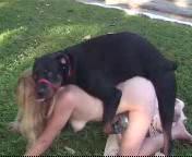 176px x 144px - Free Download Dog Fuck Desi Girl.3gp | animal-sex-videos - xxx sex videos